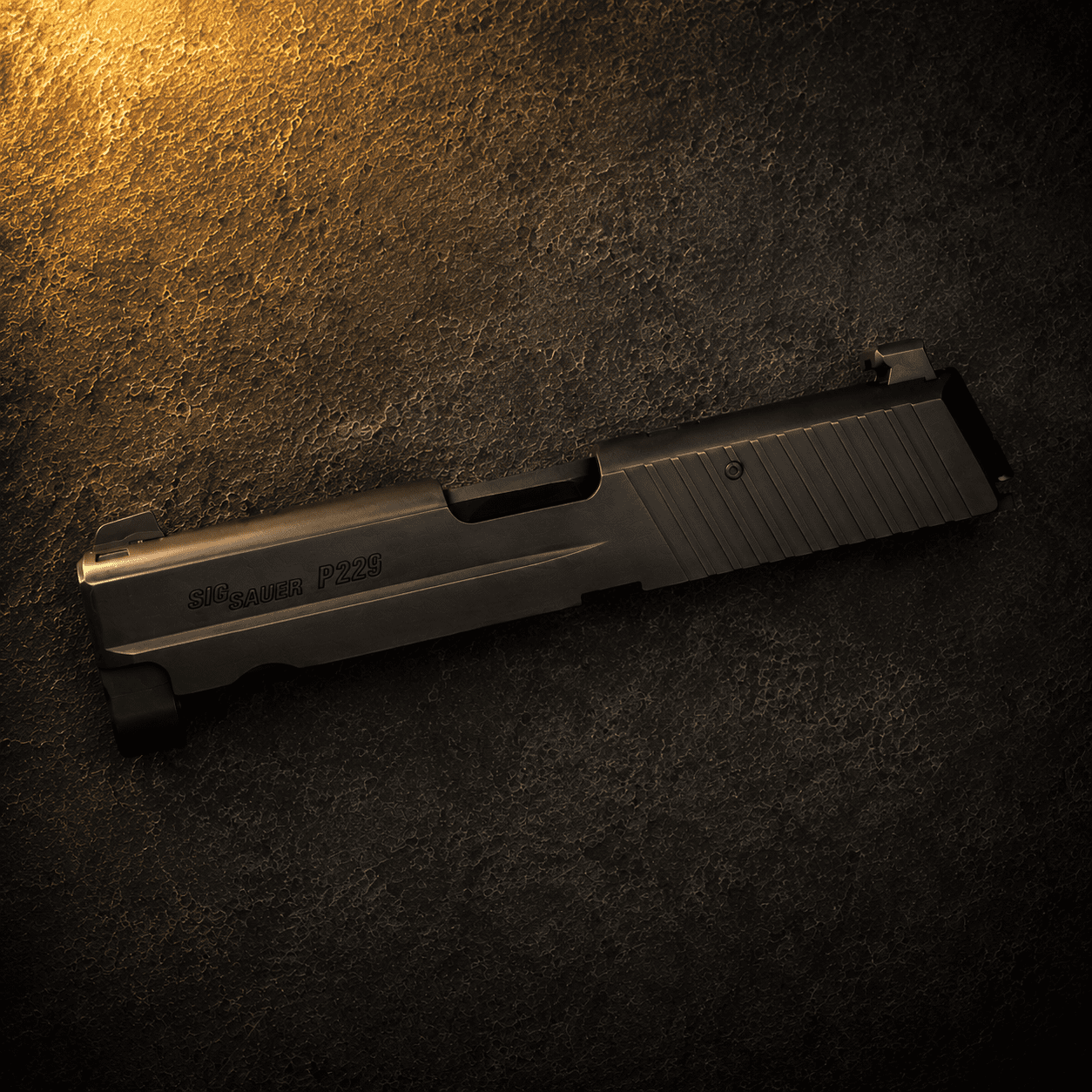 Sig P229 Slides